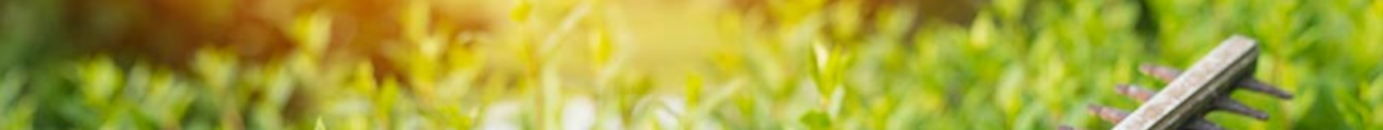 Protected: Rasen Mehr Minden